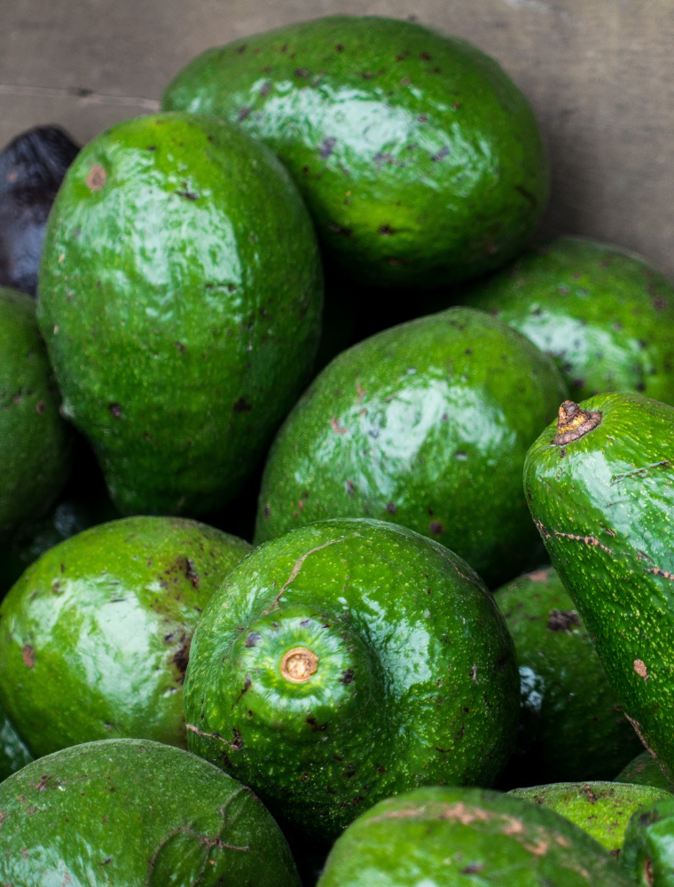 Avocado