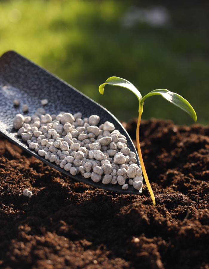 Bio Fertilizers